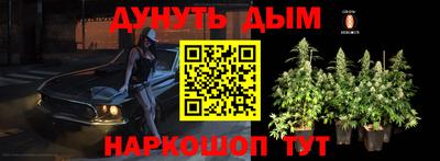 прущие грибы Краснознаменск