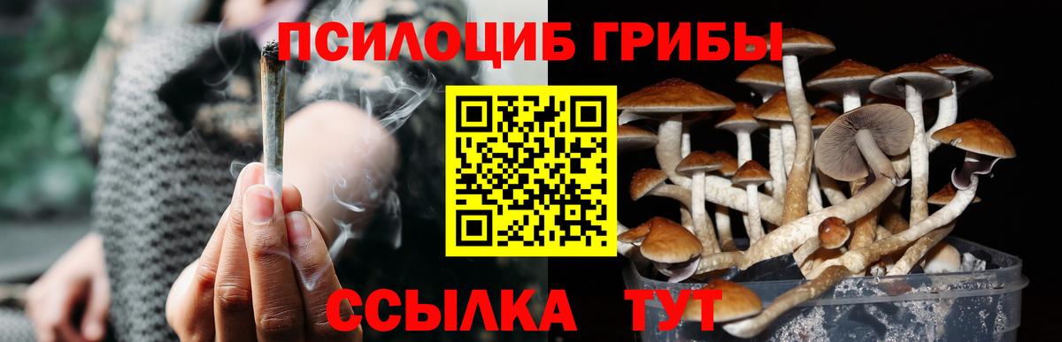 Кашира  Псилоцибиновые грибы мухоморы  Галлюциногенные грибы MAGIC MUSHROOMS  Вход с VPN 